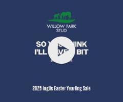 So You Think x I'll Have a Bit