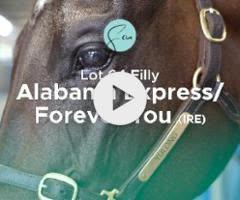 Alabama Express/Forever You '24