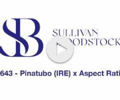 Pinatubo x Aspect Ratio filly