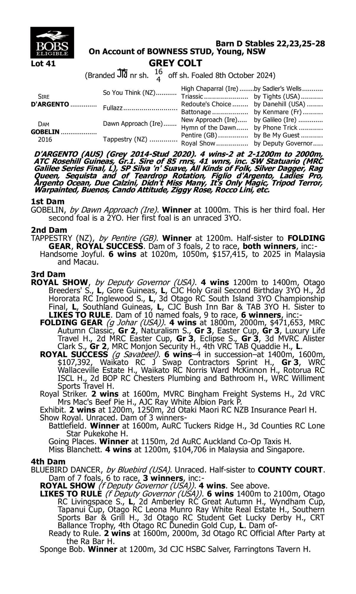 D'argento x Gobelin Colt