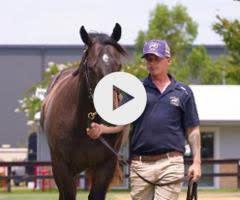 Russian Revolution x Zing