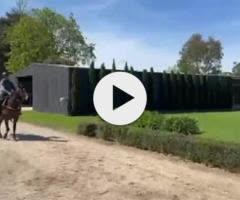 Supido x Dinkum Diamond