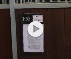 Kermadec x Talented Miss