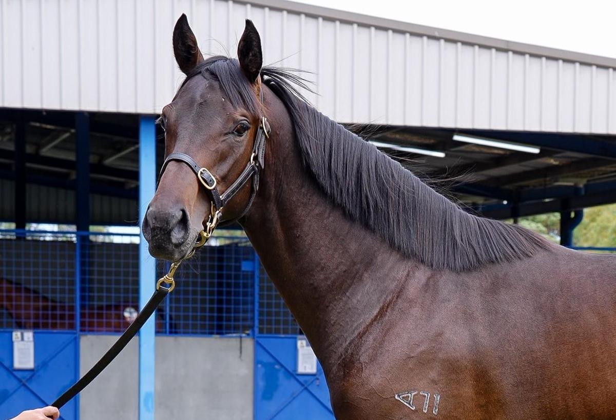 Shamus Award x Give Me Hope