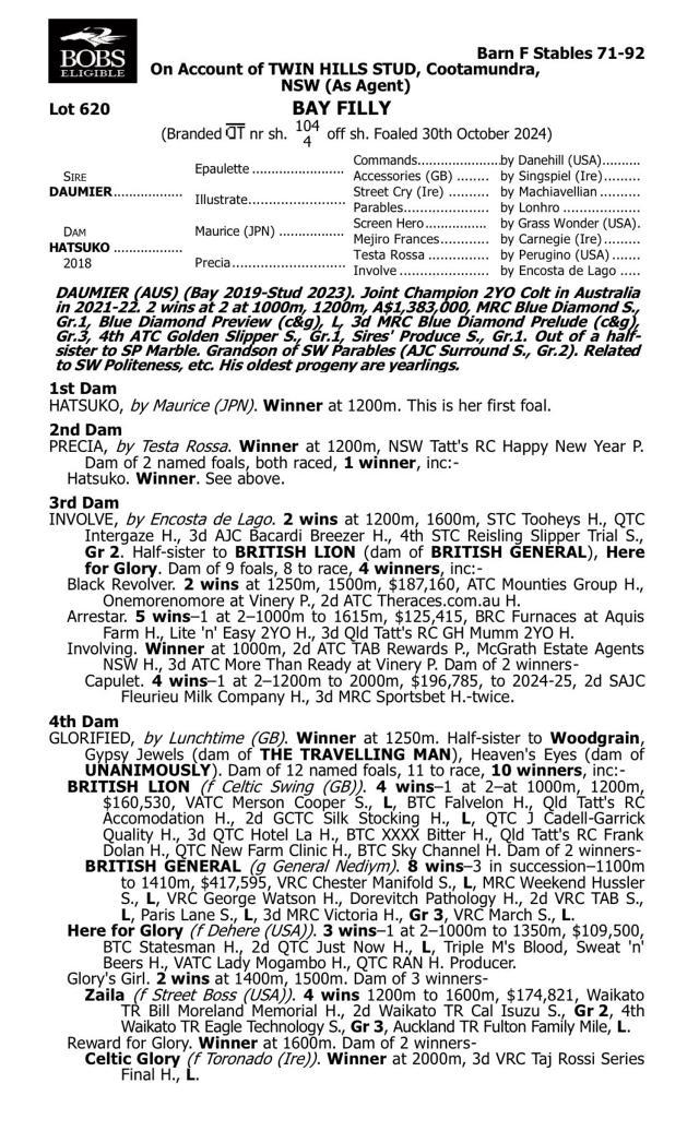 Daumier x Hatsuko '24 Filly