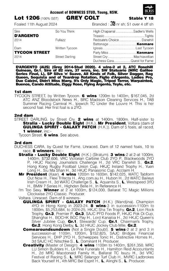 Dárgento X Tycoon Street Colt