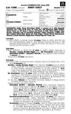 Dárgento X Tycoon Street Colt