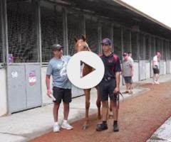 Ole Kirk x Amaliehaven