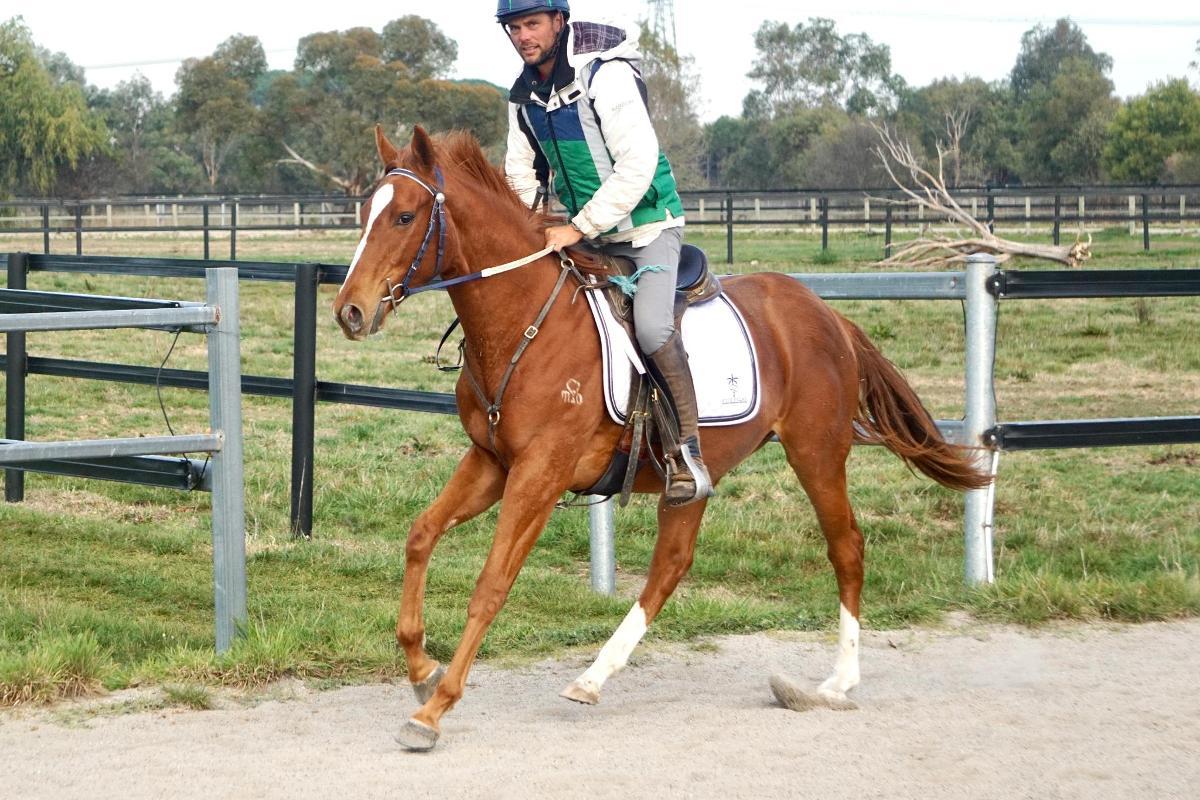 Ghaiyyath x Scout Finch Filly