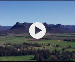 Trapeze Artist x Soho Ruby