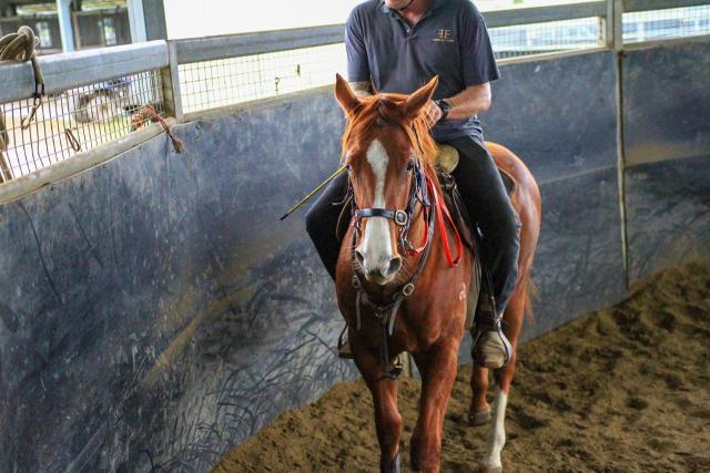 Street Boss x Ariege ‘23 Filly