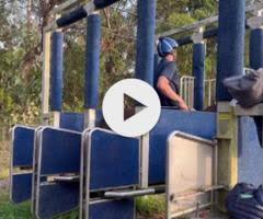 Pierro x Walk This Way (IRE) colt