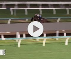 Fastnet Rock x Here Comes Gypsy