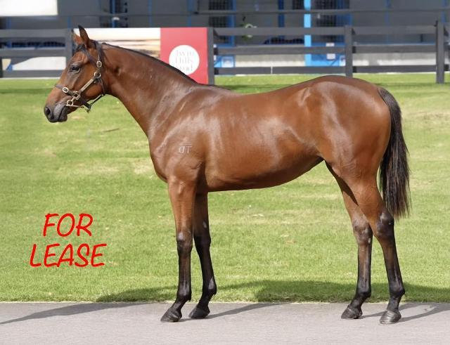 Pride Of Dubai x Essence