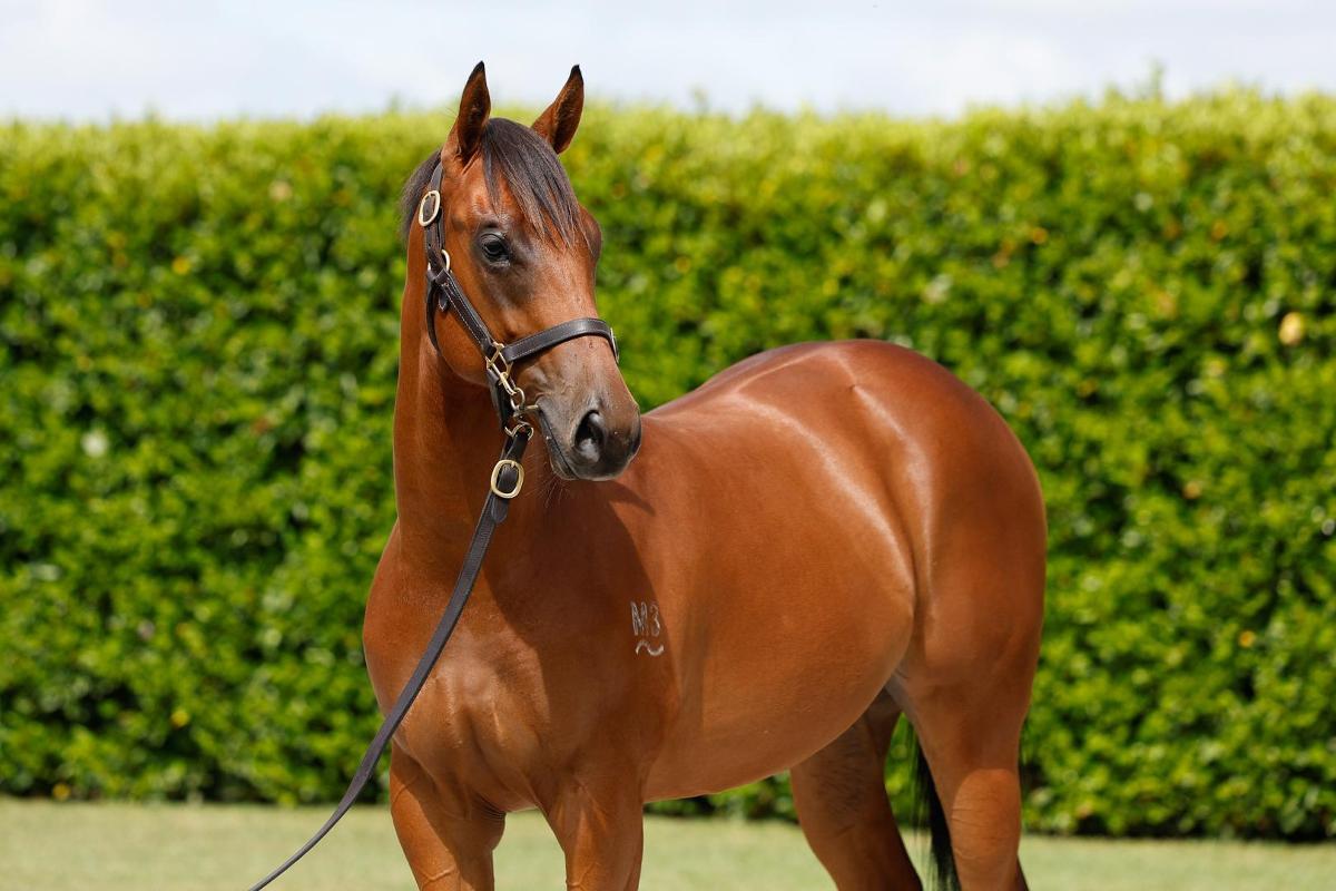 Farnan X Escape Artist