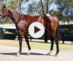 Dundeel x One More Try