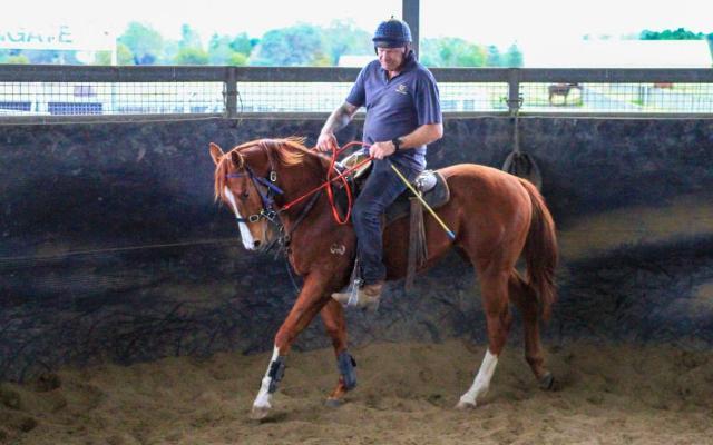 Street Boss x Ariege ‘23 Filly