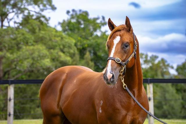 Anders x Serious Doubts 24C