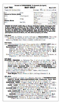 Sword of State x Home Alone