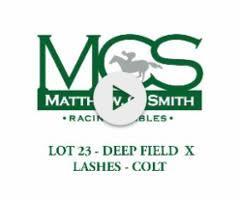 Deep Field x Lashes '23