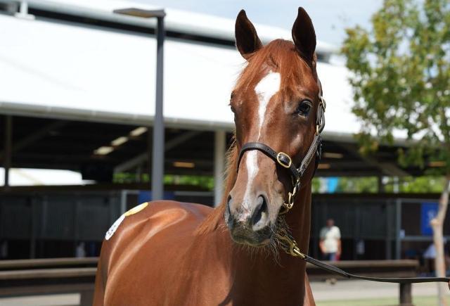 Top Ranked x Annamarie