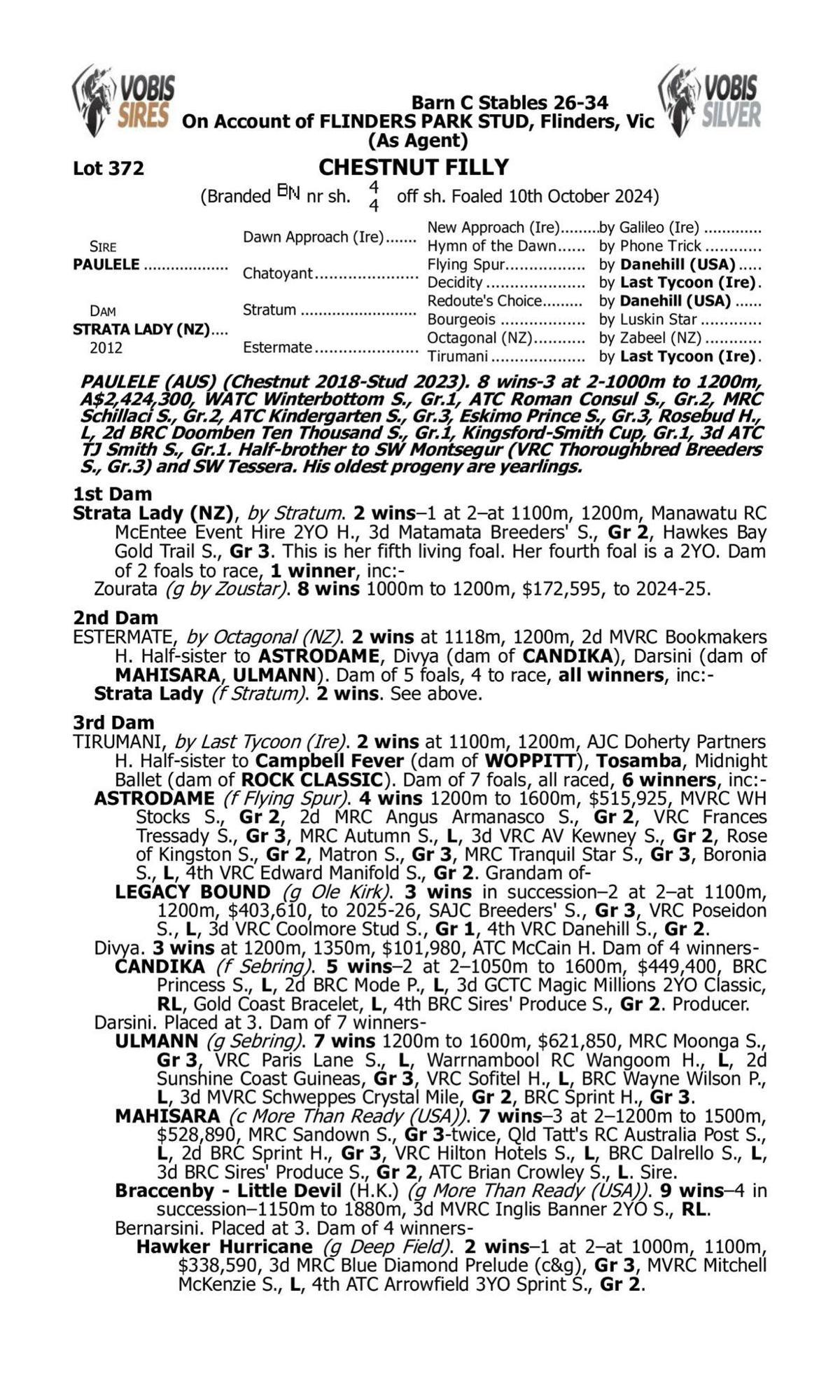 Paulele x Strata Lady Filly