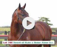 Sword of State x Home Alone