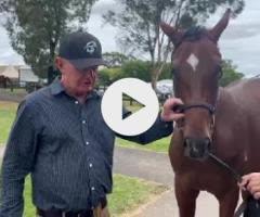 Cosmic Force x Jester Jewel Colt '24