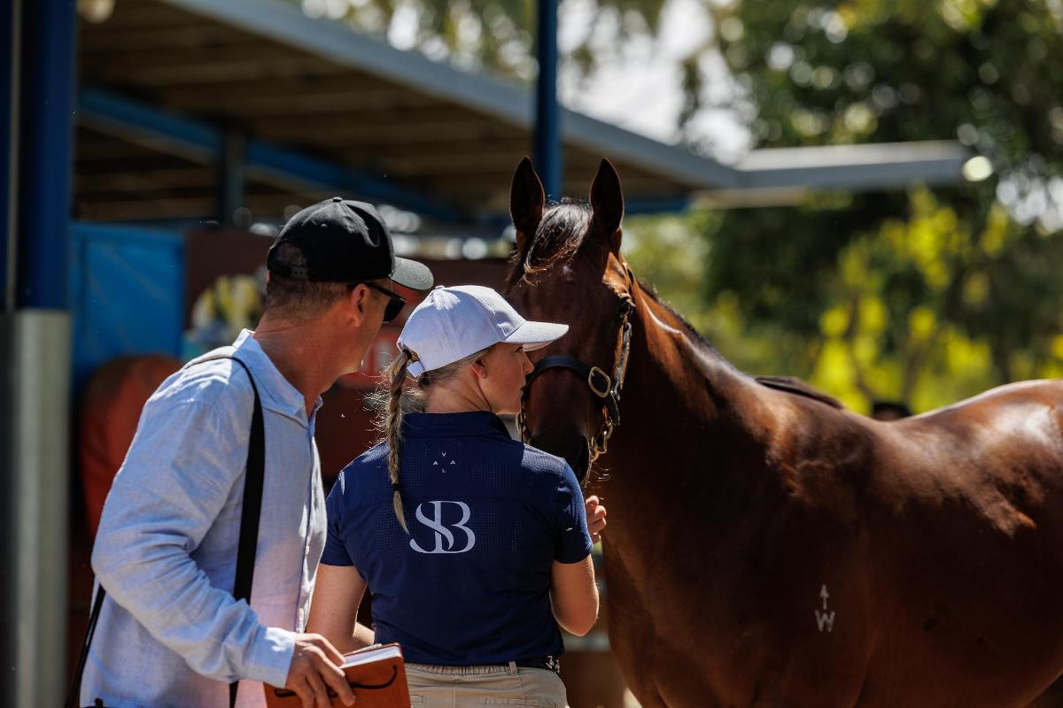 Shamus Award x Mirfa