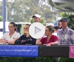 Trapeze Artist x Majestic Pedrille