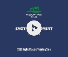 Farnan x Emotional Moment