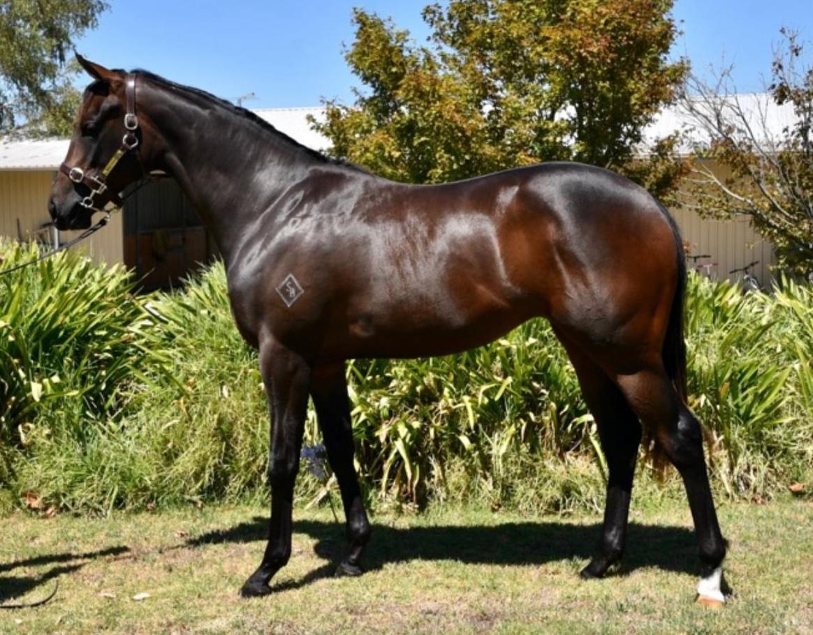 State Of Rest x High Hostess