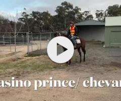 Casino Prince / CHevaria