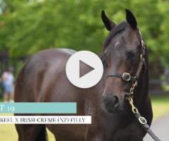 Savabeel/Irish Cream '23