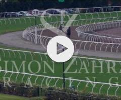 Royal Meeting x Lincolns Sunset Filly