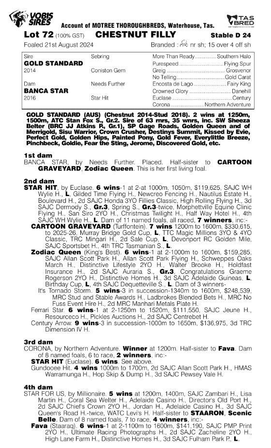 Gold Standard x Banca Star Filly