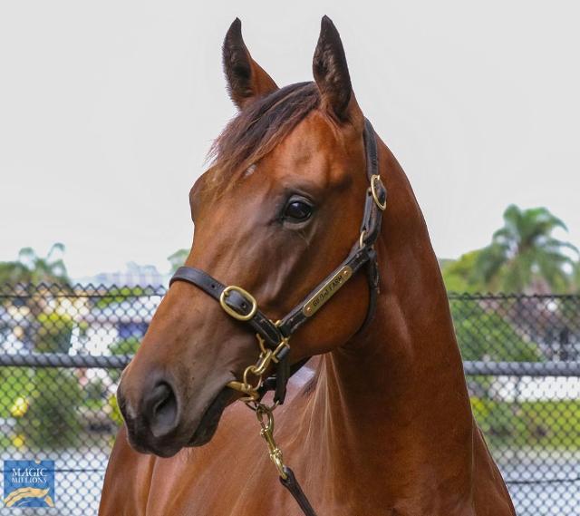 Ole Kirk x Music Bay Colt ‘22