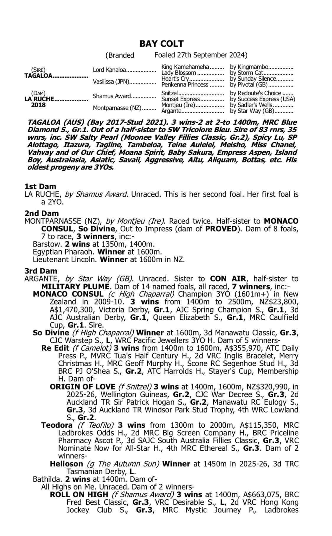 Tagaloa x La Ruche '24 Colt