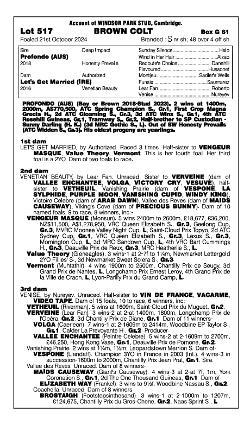 Profondo x Let's Get Married