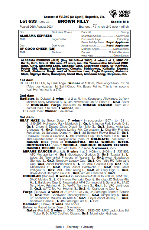 Alabama Express x Of Good Cheer