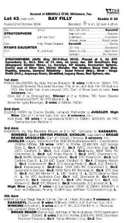 Stratosphere x Ryans Daughter Filly