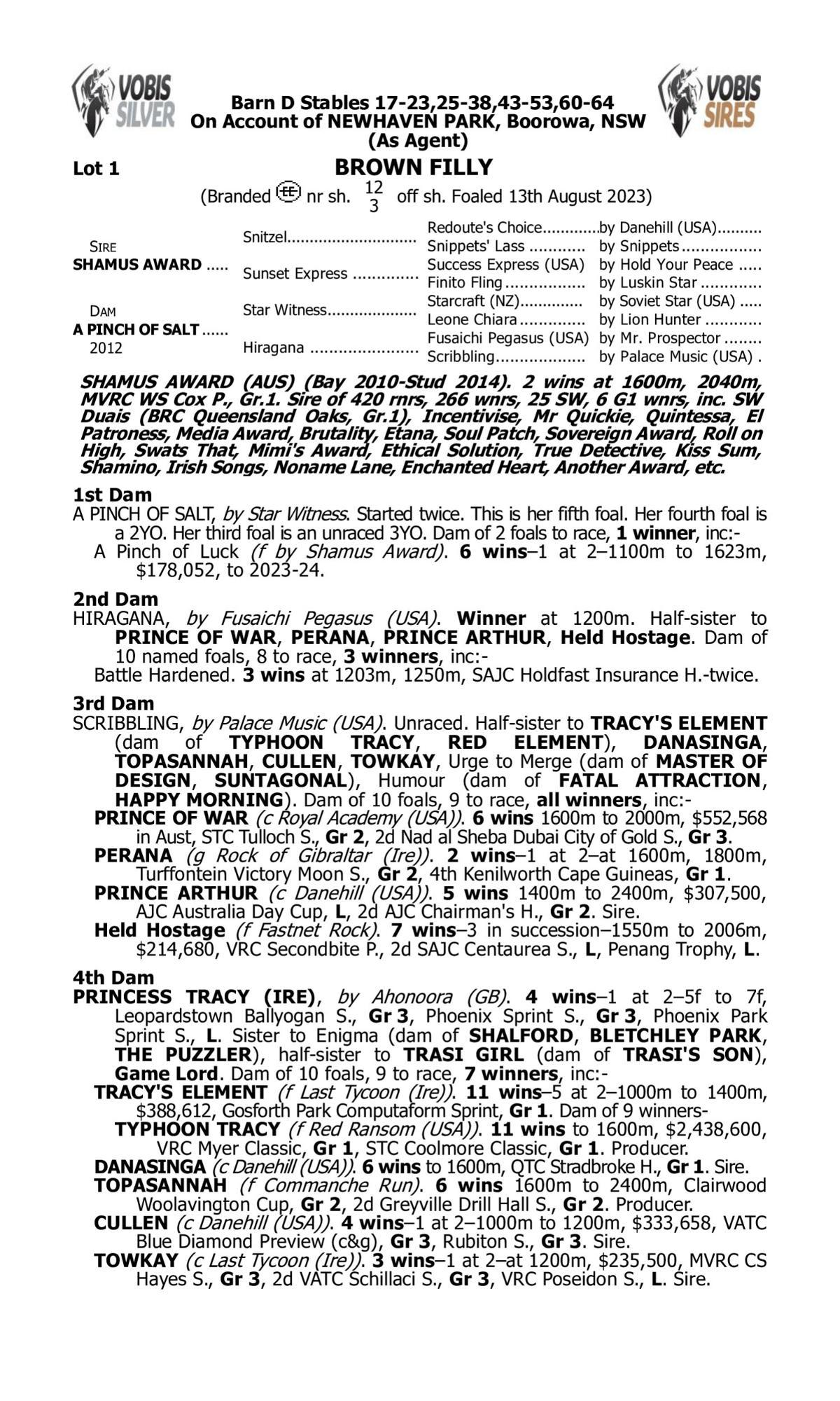 Shamus Award x A Pinch of Salt
