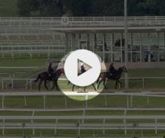 Snitzel/Debonnaire '23