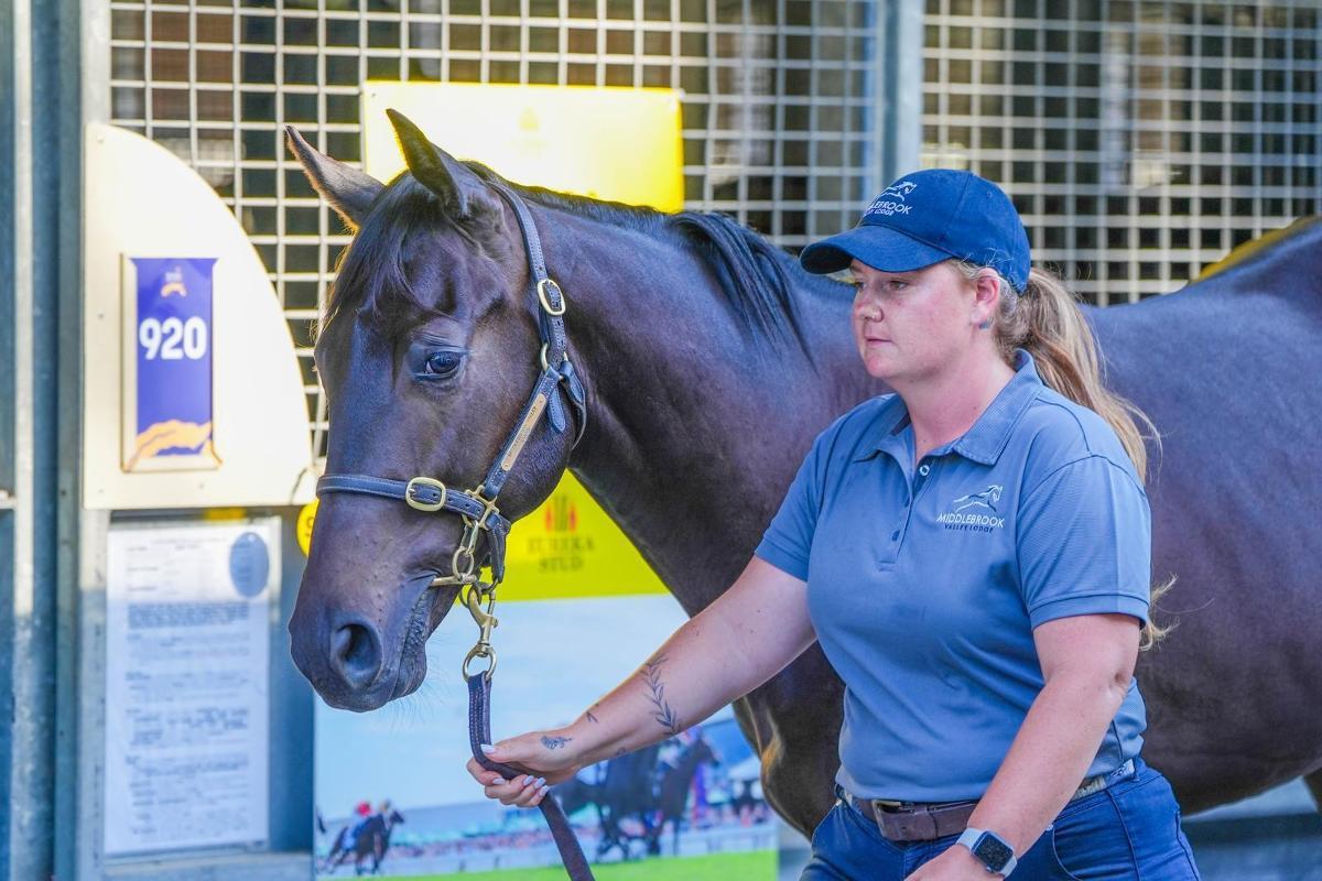 Brutal x Honey Blossom - 40% Remaining