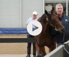 Ilovethiscity x Contamination