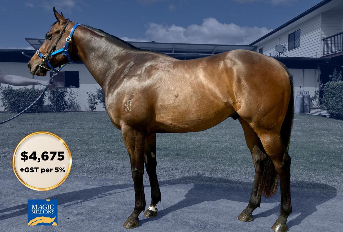 horse-image
