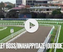 Street Boss/Inahappydaze '24