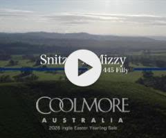 Snitzel/Mizzy '24