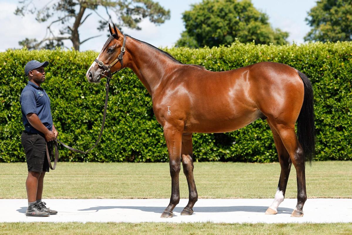 Grunt x HereForAGoodTime