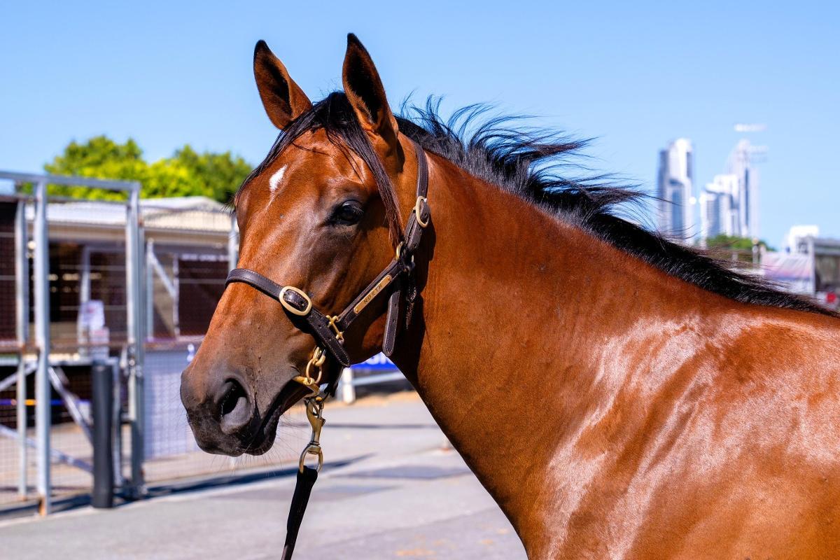 In The Congo X She's Bobby's Girl